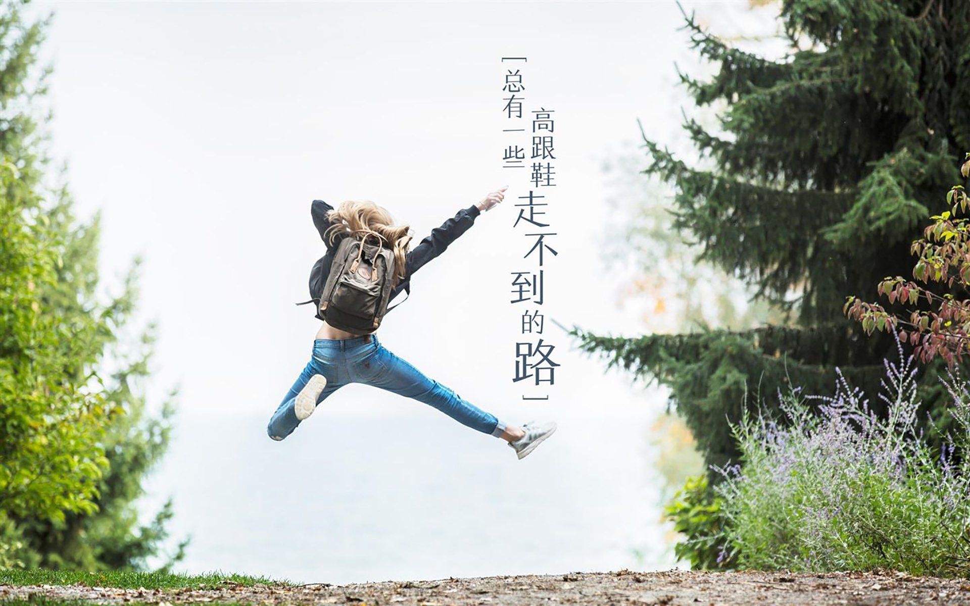 尼日利亚联赛观众人数增长，尼日利亚足球队战绩