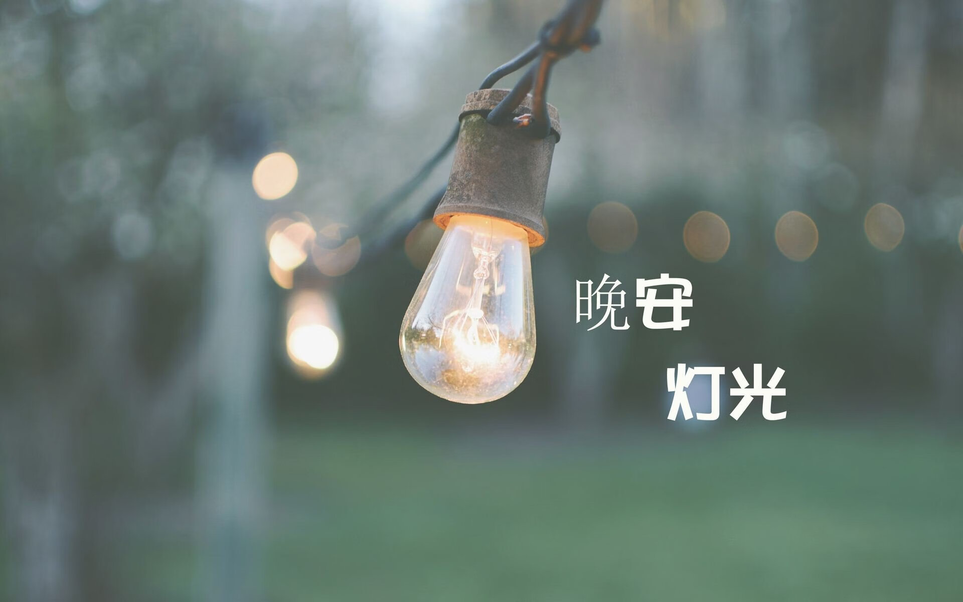 KAIYUN 中国大陆-荷兰国家队备战友谊赛，冠军大热，荷兰队伍