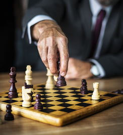 开云·体育官网APP下载-中国篮球教练员职业发展规划及继续教育研究，中国篮球教练员职业发展规划及继续教育研究论文