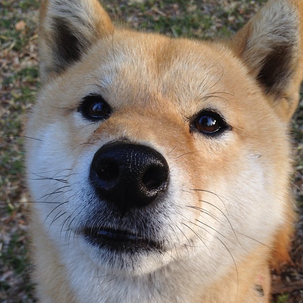运动训练数据智能分析系统设计,运动智能训练的重要作用