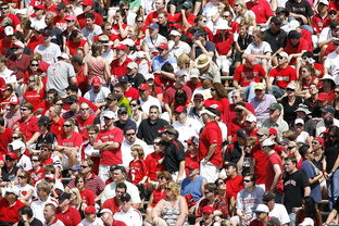 Kaiyun(中国)开云-高校体育赛事观众体验提升策略研究，体育赛事审美体验