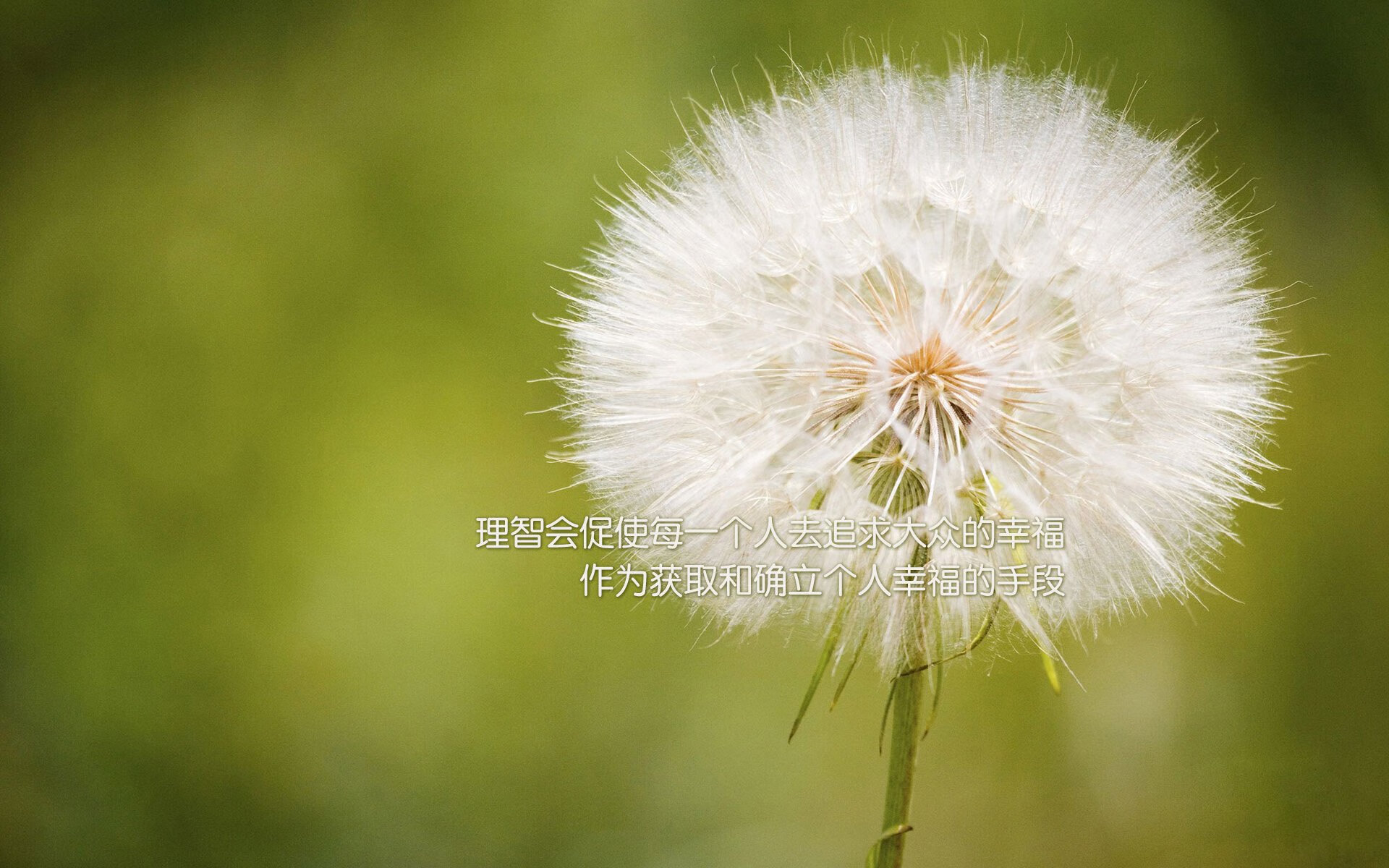 开云官方网页登录-中国香港队赛制剖析：如何在团体赛中充分利用球员的优势，香港队再添一枚金牌