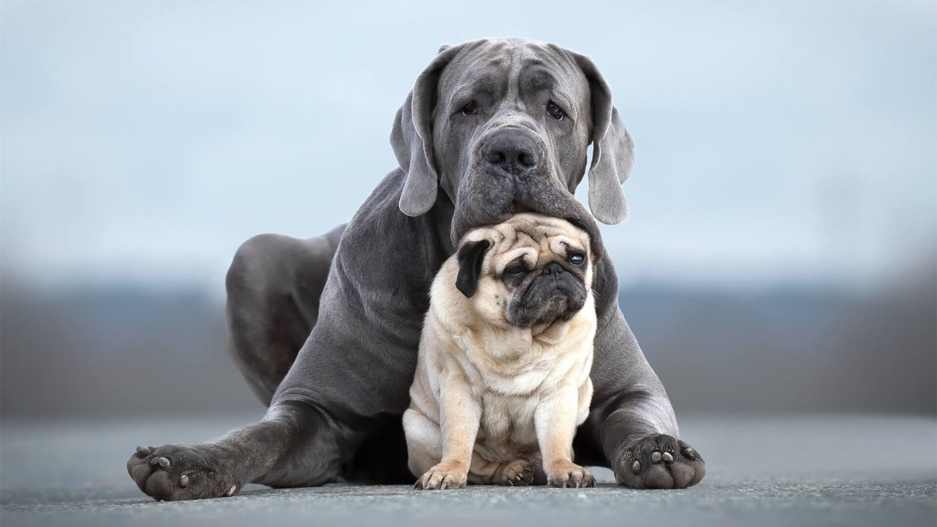 新赛季官方球衣采用环保材质，球衣保值吗