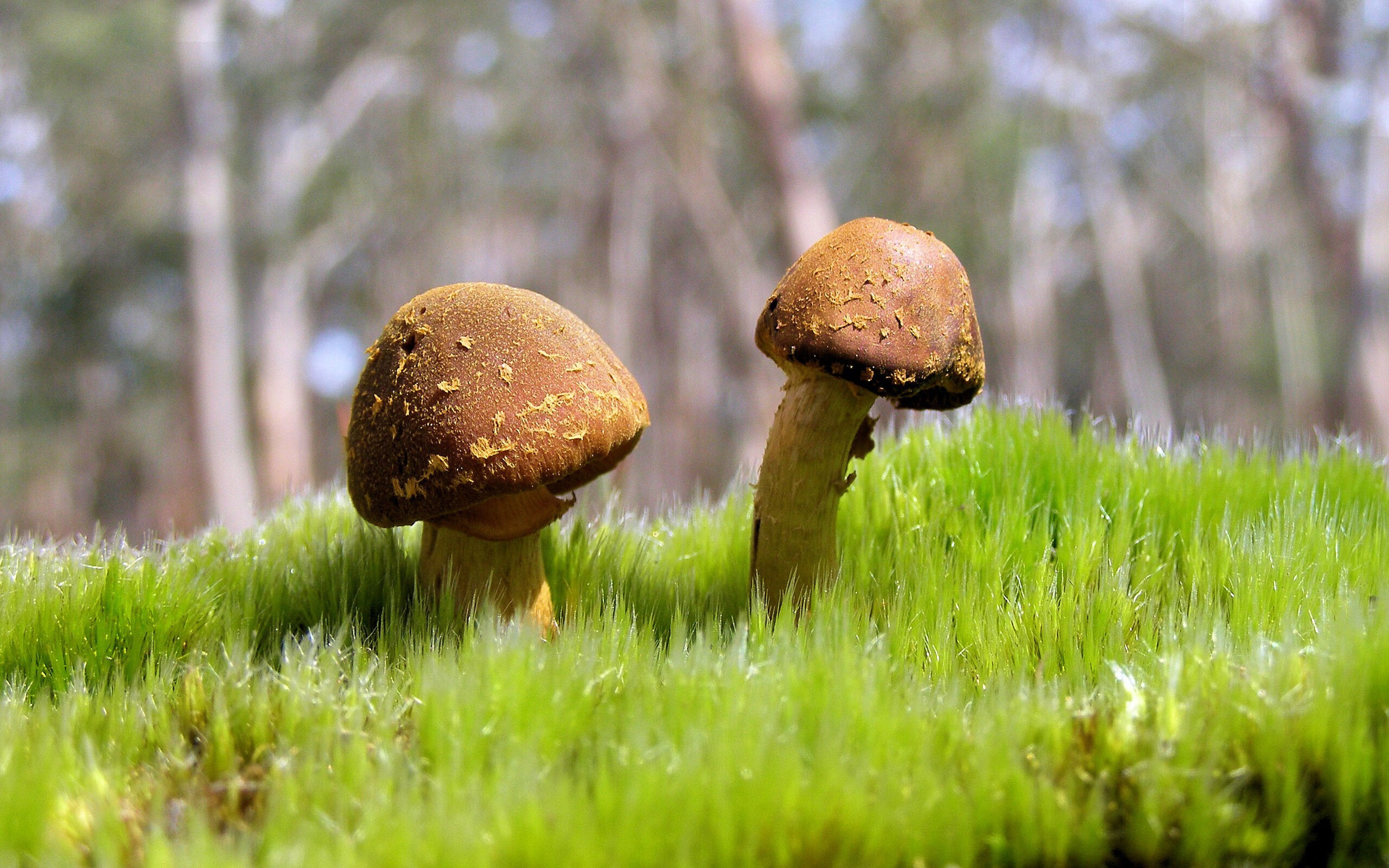 丁俊晖接受外媒专访称目标始终如一，丁俊晖的介绍