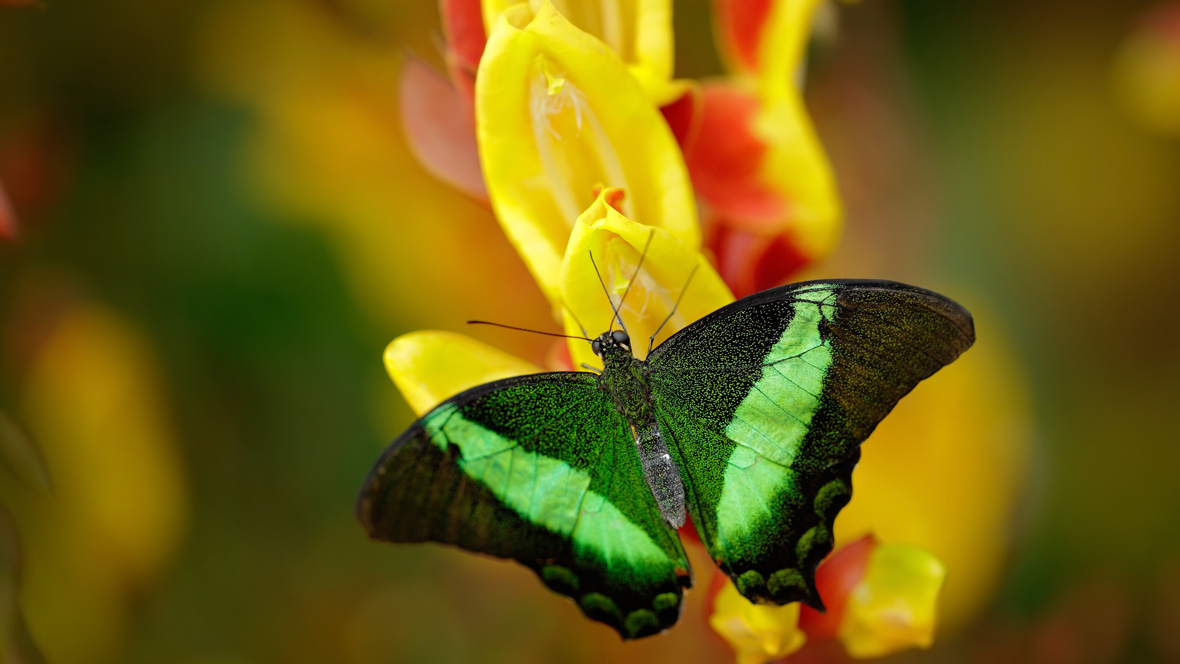 中国足球联赛比赛规则优化提高赛事观赏性,中国足球协会关于足球竞赛规则