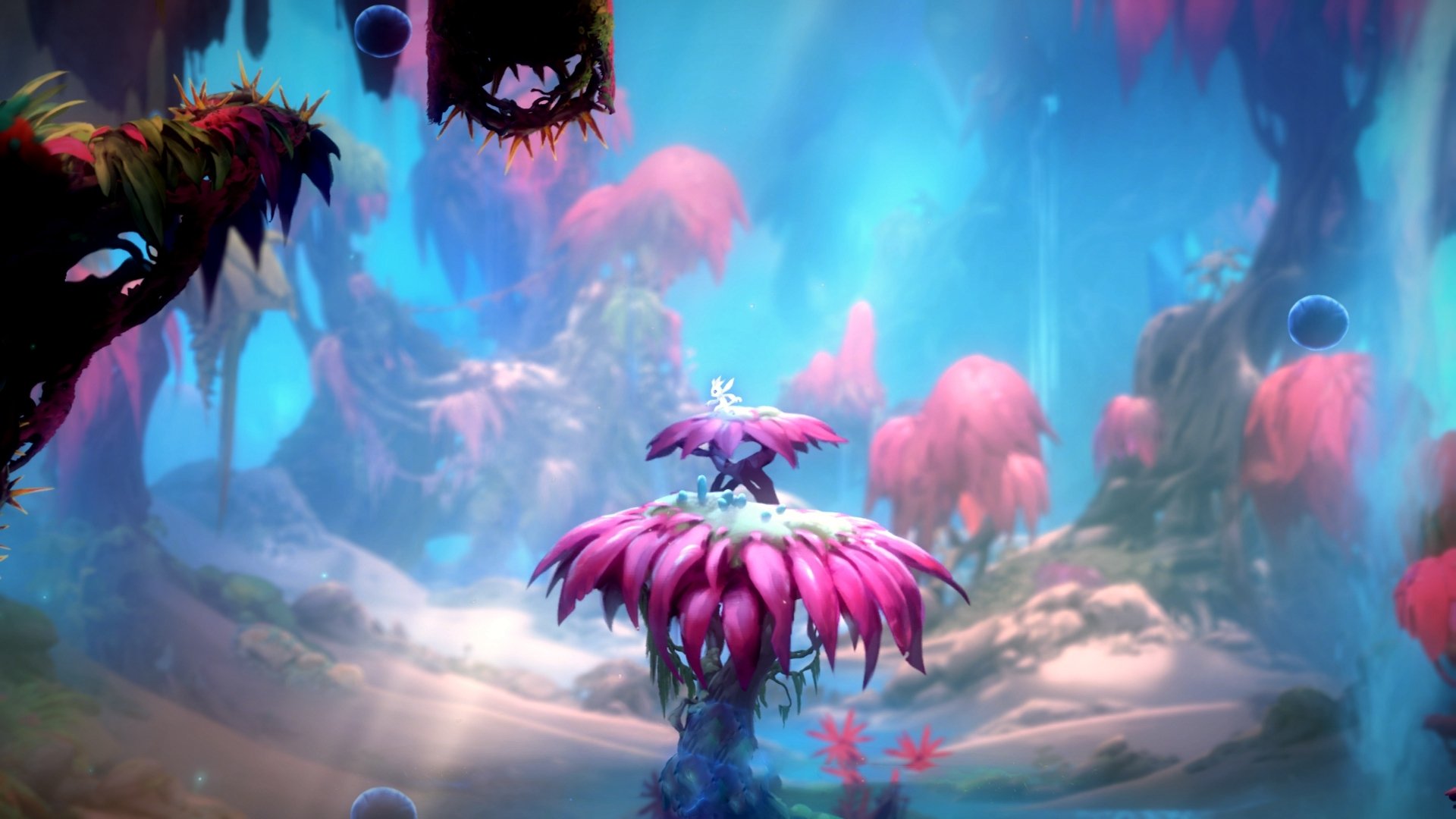 开云官方网站-张伟丽连胜纪录扩大至八场，张伟丽比赛全程回放