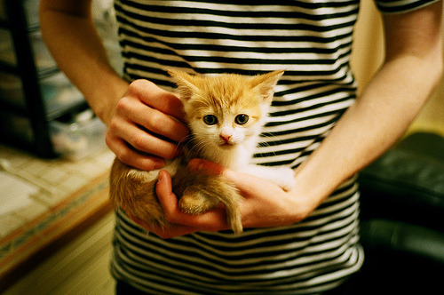 开云官方-拜仁慕尼黑继续高歌猛进，德甲领跑稳定