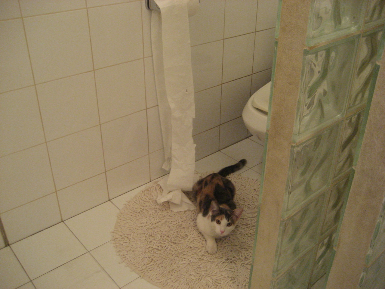 斯洛伐克女篮在欧洲预赛中精彩表现，冲击奥运入场券，斯洛伐克u20女篮