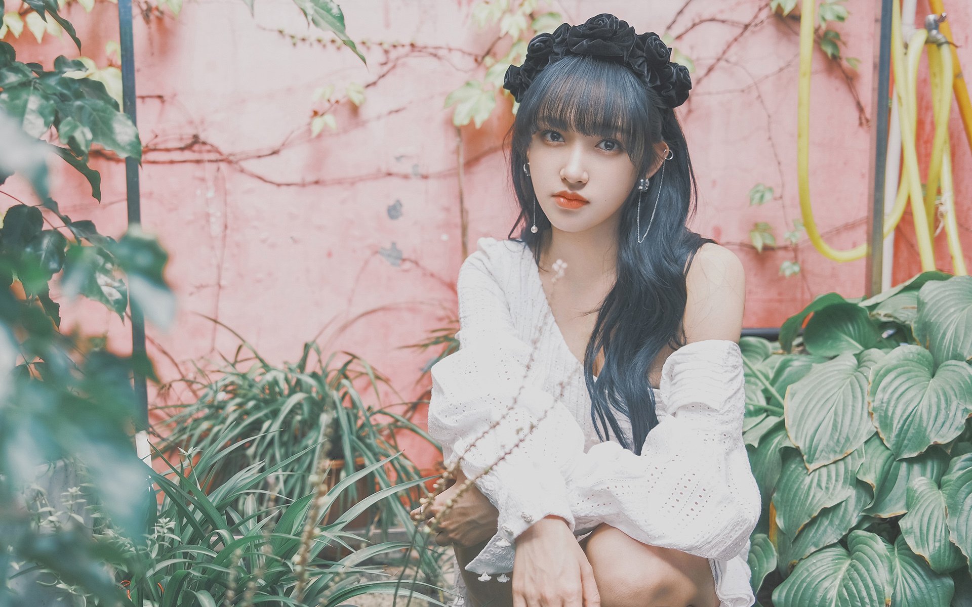 橄榄球文化深植澳大利亚体育体系，澳大利亚橄榄球英文介绍