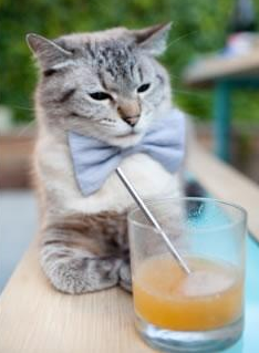 开云平台-足球比赛数据分析训练营火热招生，足球训练数据分析软件app